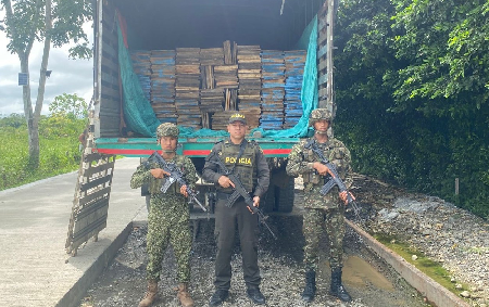 Incautados más de 10 metros cúbicos de madera ilegal en operativo conjunto en el Chocó