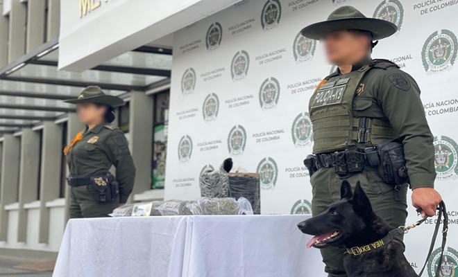 Dos policías, una mascota custodian incautación de marihuana