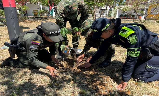 Jornada conjunta busca embellecer y garantizar la seguridad en el parque principal y zonas deportivas.