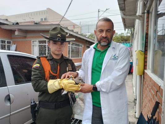 Policía en Caldas, adelanta acciones para la protección de la fauna silvestre 