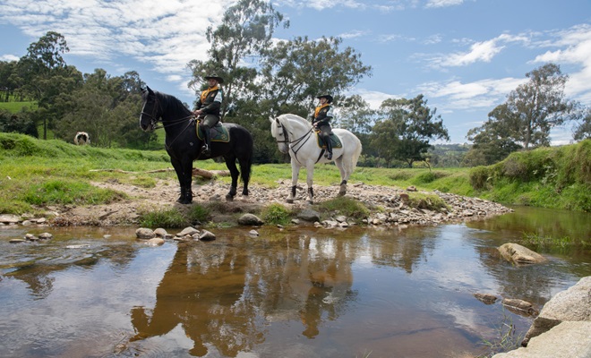 Patrullajes afluentes hídricos