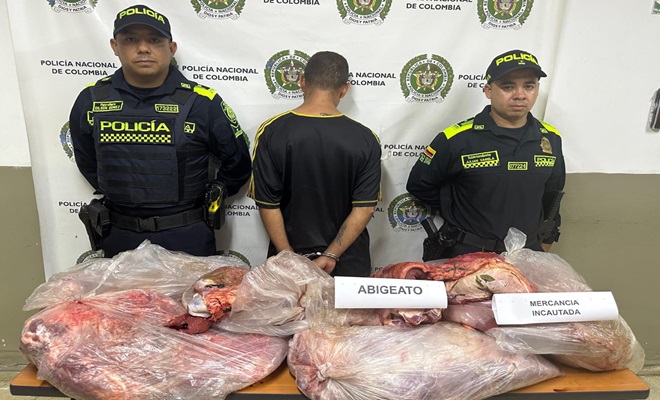 Persona por fue capturada por abigeato