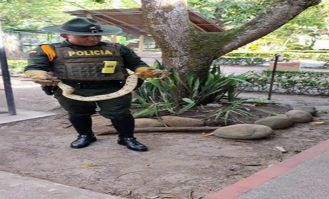 La Policía Nacional comprometida con la diversidad biológica