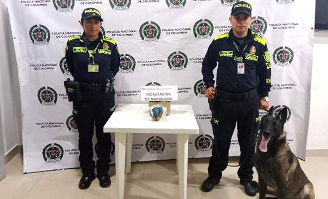 La policía incauta mil gramos de marihuana en zona de carga del aeropuerto Vanguardia de Villavicencio