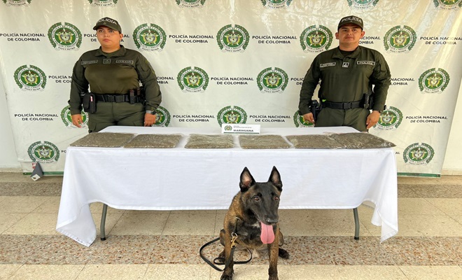 Policía Nacional, logró ubicar sustancia ilícita en zona boscosa del sur de Neiva.