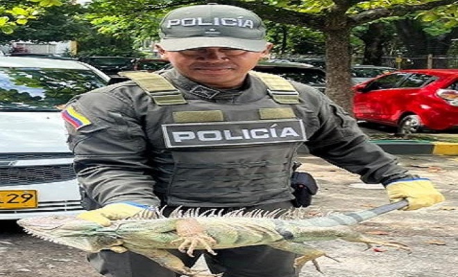 Policia cuidad los animales silvestre