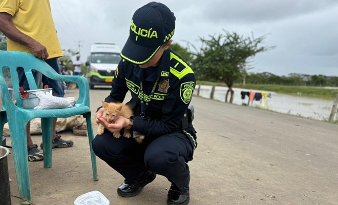 Policía cargando a un animal doméstico