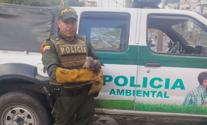 Carabineros y Protección Ambiental, mediante