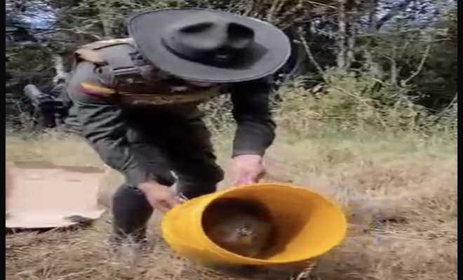 Rescatan Puercoespín en Túquerres 