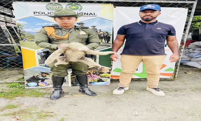 Cuidan y protegen animales