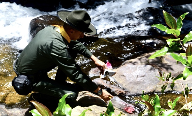 Recolección basuras afluentes hídricos