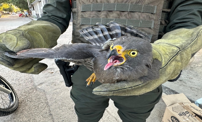La Policía Nacional enfocada en la protección de la fauna silvestre