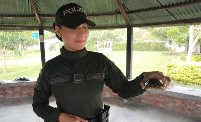 Rescate de una tortuga Hicotea por parte de la Policía Ambiental