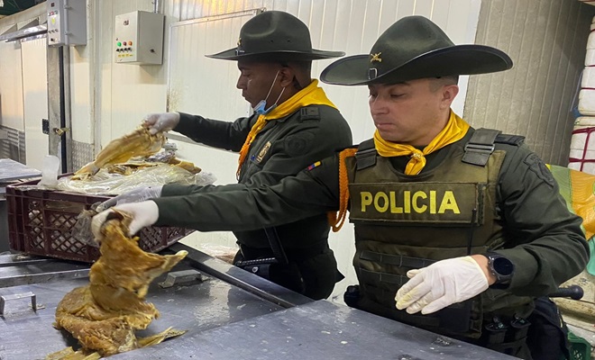 Pescado incautado el cual se encontraba en malas condiciones