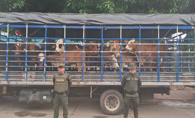 Operativo contra el abigeato