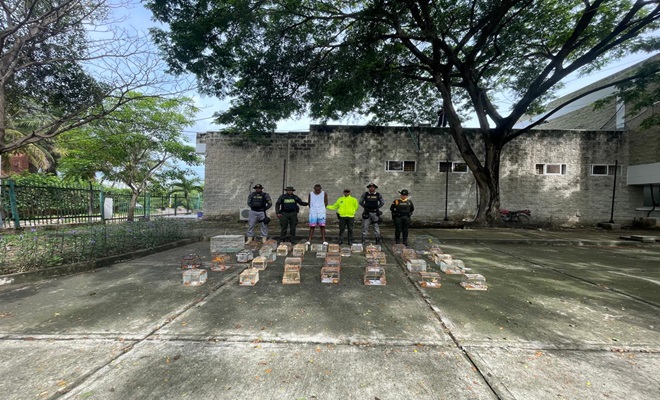 capturado por tráfico de especies