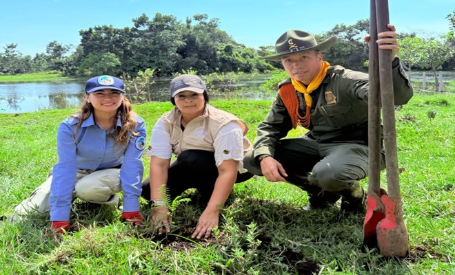 Sembramos 65 mil árboles en todo el país