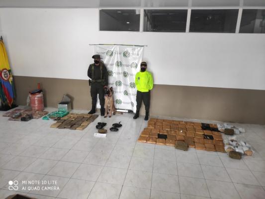 El-sabueso-de-las-drogas-ilícitas  