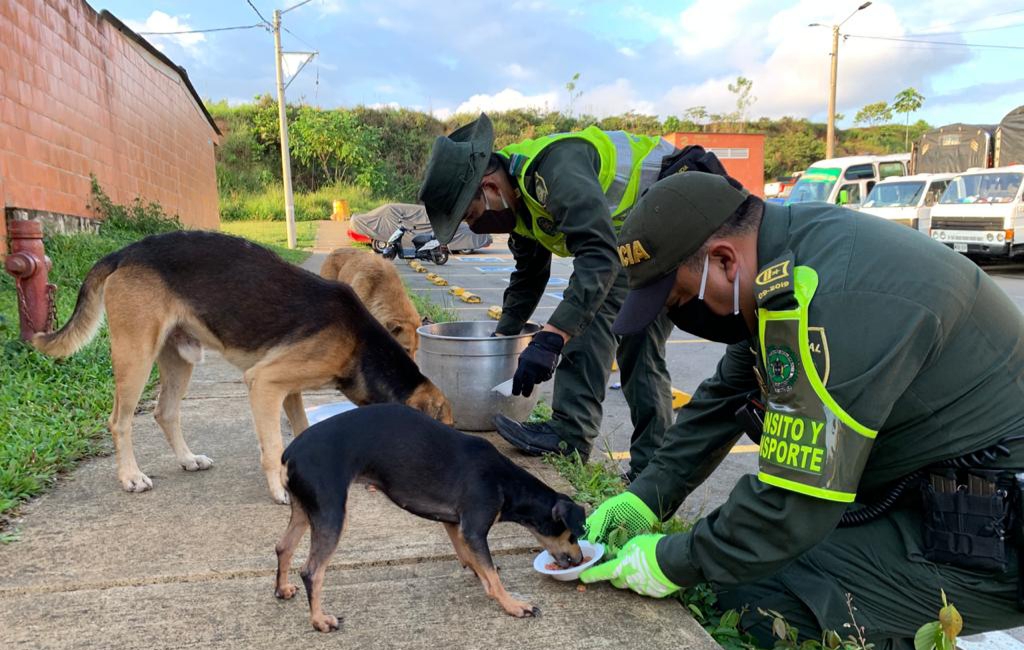acciones-de-bienestar-y-proteccion-animal