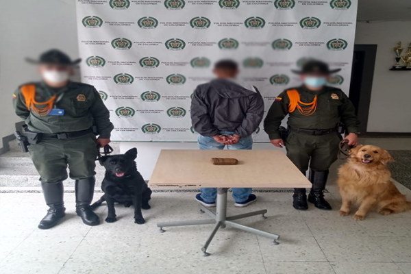 Caninos en Manizales, grandes detectores de sustancias 