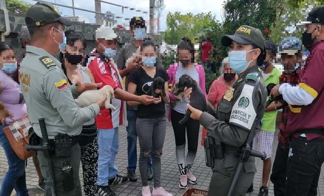 Policía Tolima realiza campaña denominada “adopta un amiguito de cuatro paticas”