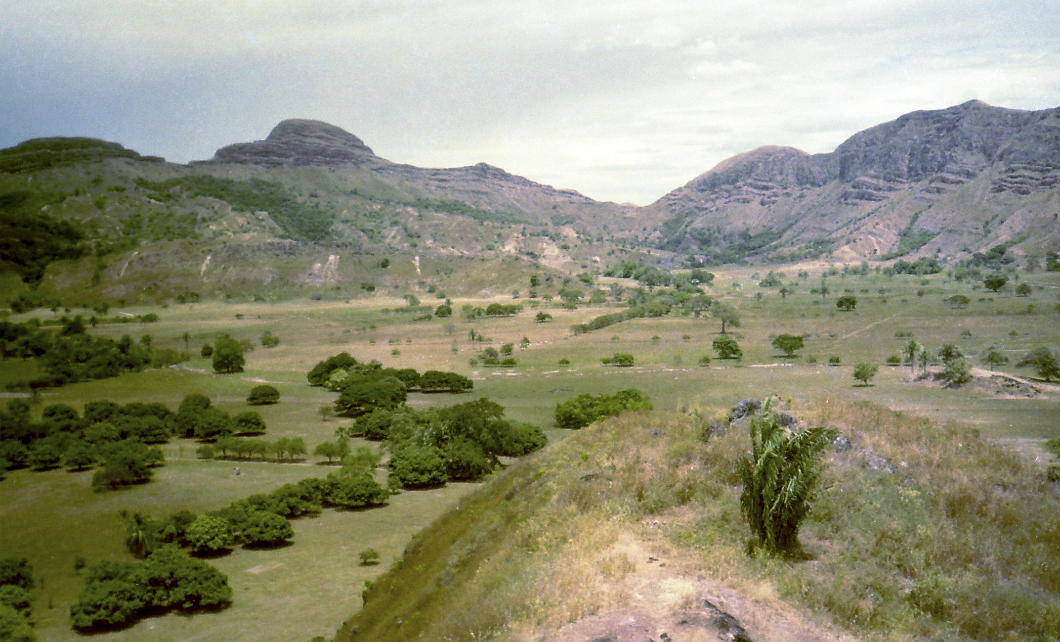 Antigua_Hacienda_Los_Pijaos_CENOP