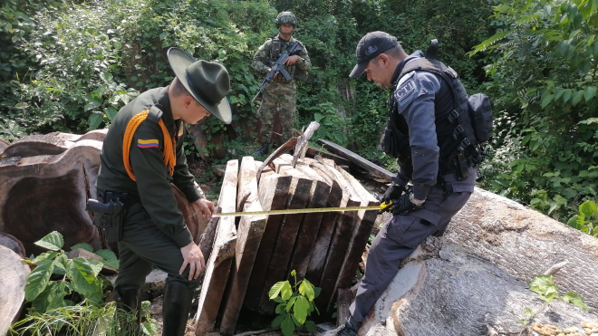 Lucha frontal de la Policía contra el aprovechamiento ilícito de los recursos naturales renovables