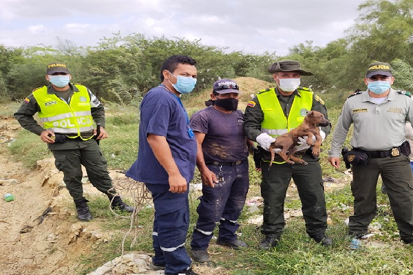 Canino-policías-comunidad