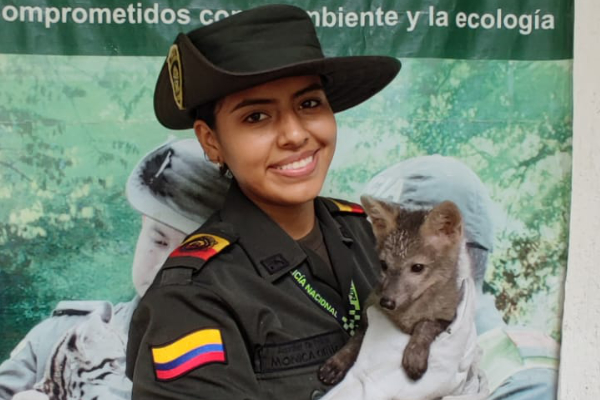 ‘Construyendo Seguridad’ 