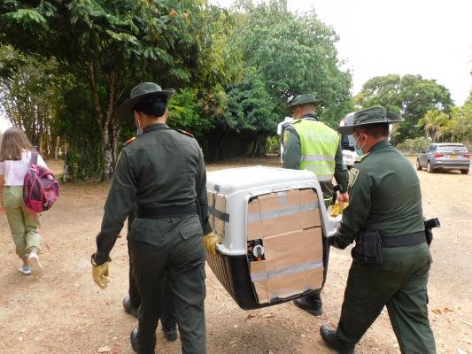 Avanzamos en la protección de la fauna silvestre