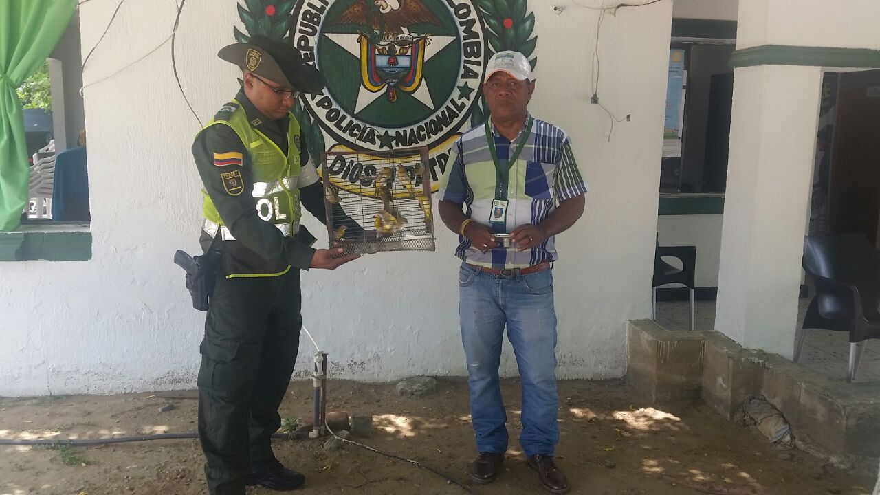 Recuperamos grupo de aves abandonadas en una trocha