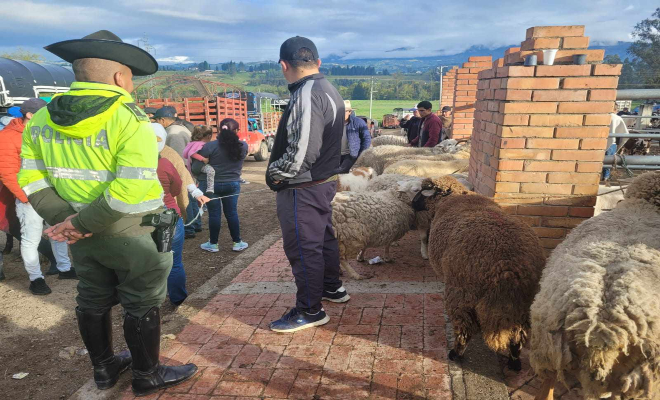 Comportamientos más recurrentes que afectan la seguridad ciudadana 