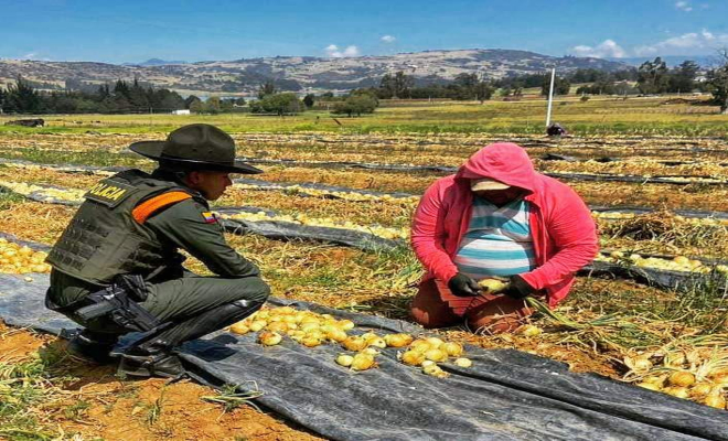 Balance semanal del 8 al 14 de enero