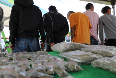 Balance semanal “Plan choque seguridad 360” en Caldas