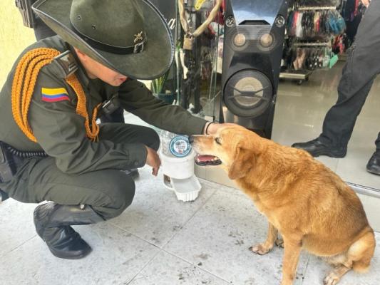 Con material reciclado Policía fábrica bebederos artesanales de agua, para hidratar perros, gatos y aves en estado de abandono