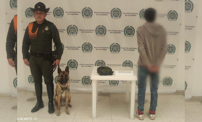 Diferentes Terminales de Transportes Terrestres de la capital Nariñense, logró un  contundente resultado operativo