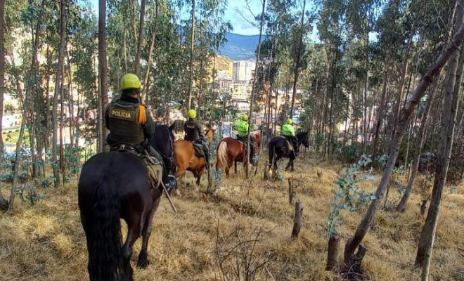 Acciones en pro de garantizar la seguridad y convivencia ciudadana.