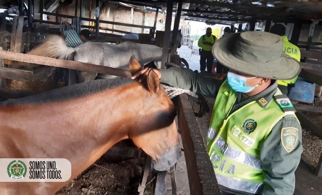 Continuamos en la lucha contra el maltrato animal1