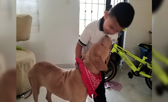 En-el-Meta-rescatamos-una-cachorra-de-la-calle-y-le-conseguimos-nuevo-hogar