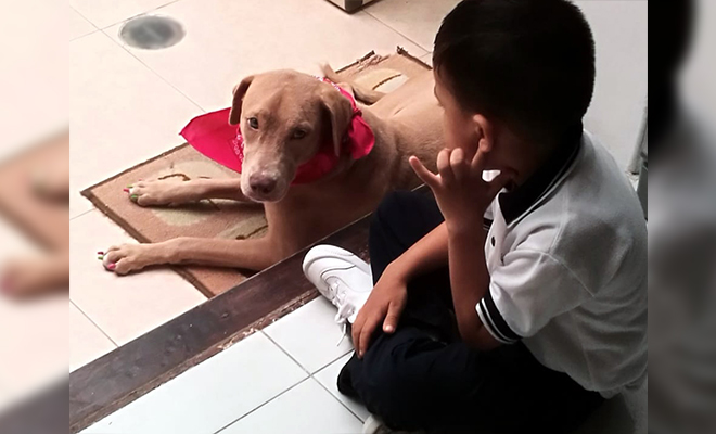 En-el-Meta-rescatamos-una-cachorra-de-la-calle-y-le-conseguimos-nuevo-hogar