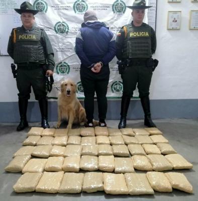 28.000 dosis de marihuana incautadas 