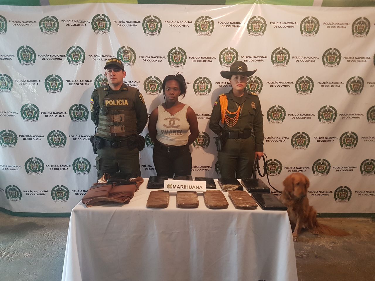 Llevaba faja reductora cargada de narcóticos