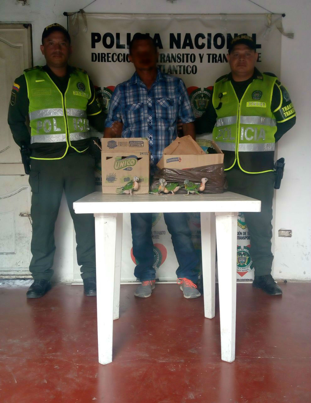 Capturado con 13 pericos