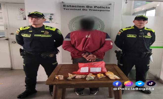 Transportaban de forma ilegal en jaulas y cajas diferentes especies 