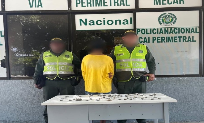 Capturadas 73 personas por diferentes delitos