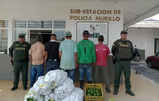 capturan sujetos que hurtaban aguacates 