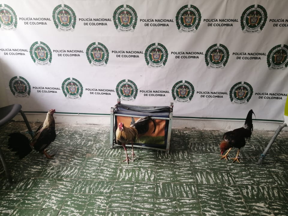 Capturamos a dos sujetos por el delito de Violación de Medidas Sanitarias