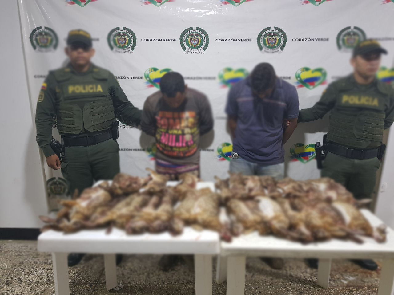 ilicito aprovechamiento-caza ilegal-fauna silvestre-conejo-MNVCC-El Dificil-Ariguani