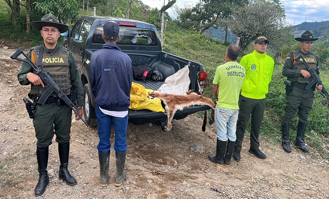Capturado por presuntamente matar a un puma en el Valle del Cauca
