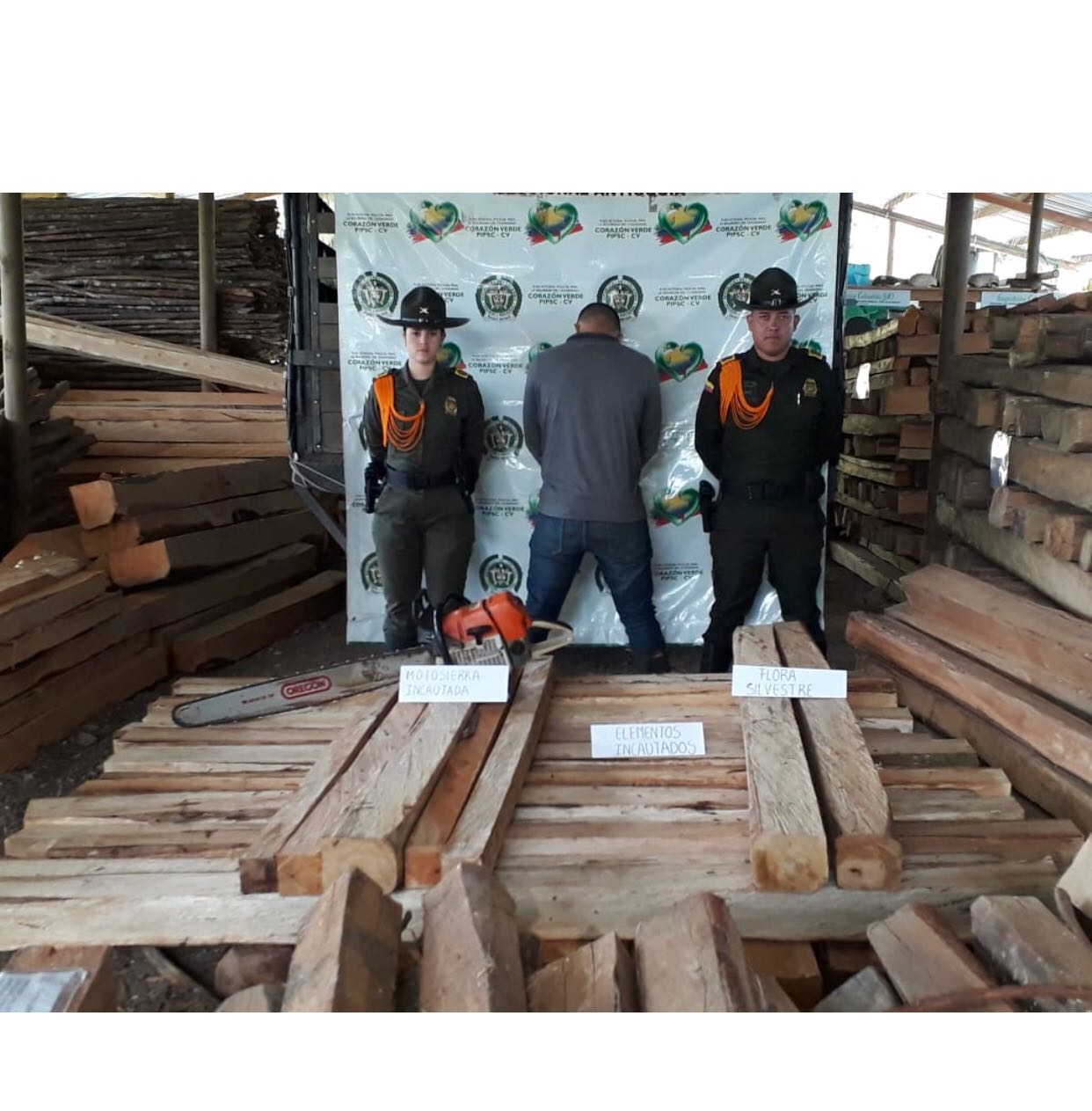 Ofensiva nacional contra la deforestación y el aprovechamiento forestal